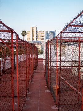 Clotheslines on the rooftop in red color leading towards urban skyline in Mexico City, CDMX