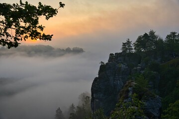 Foggy morning