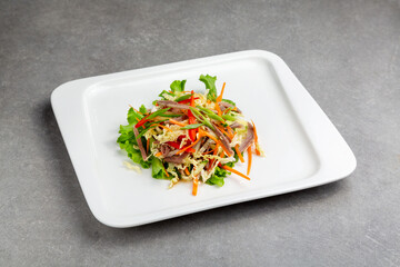 Beef and vegetable salad: green onions, peppers, cucumbers, carrots, lettuce in a plate gray background