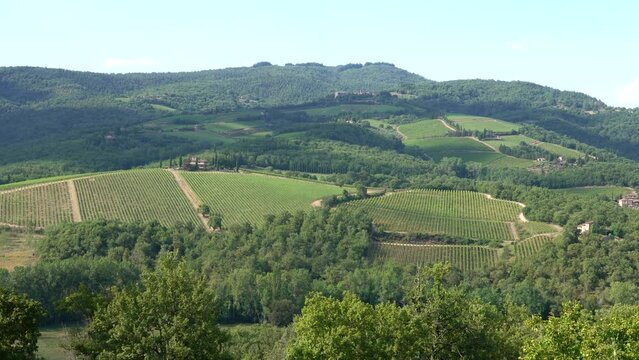 Beautiful tuscan landscape near Greve in Chianti, on a sunny summer day. Province of Florence, Tuscany, Italy.