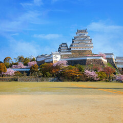 Scenic full bloom cherry blossom at Himeji castle in Hyogo, Japan - 722108351