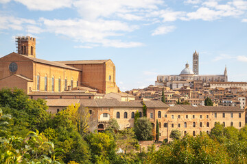 Fototapeta premium View of the old town of Sienna with the Cathedral in Italy