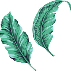 Painting tropical leaves