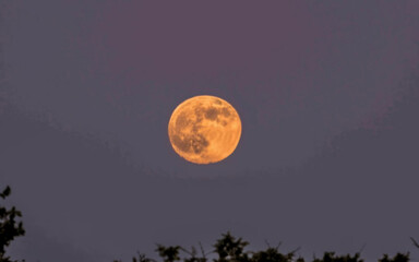 full moon in the night,moon, night, sky, full, dark, clouds, moonlight, cloud, 