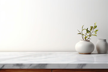 White vases with plantle table against white wall