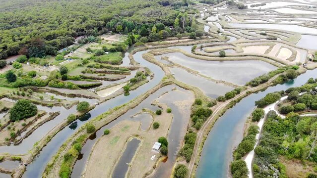 Salterns, areas with hypersaline water for natural salt-works, near Les Sables d'Olonne, Pays de la Loire, France