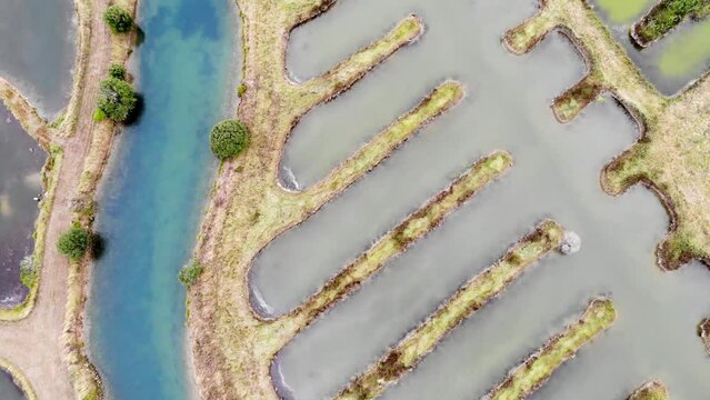 Salterns, areas with hypersaline water for natural salt-works, near Les Sables d'Olonne, Pays de la Loire, France