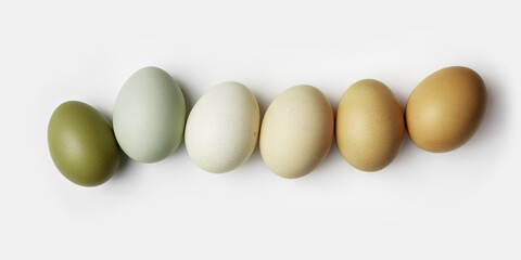 Top view of boiled chicken eggs in row. Minimal style photo made of natural colors eggs on white background. Color gradient olive and brown tones. Healthy protein food concept. Pastel colored