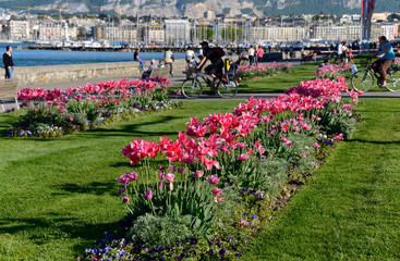 Geneva, Switzerland, Europe - leisure at the shore of Lake Geneva, promenade along the shore of...