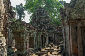 Ancient temple ruins surrounded by trees