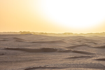 Fototapeta premium Beautiful sunset over Sahara desert in Douz, Tunisia. Sand and dunes against sky