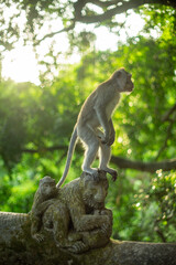 A monkey standing on top of a stone sculpture in a lush forest setting