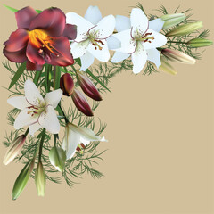 lily red and white flowers corner isolated on light brown background