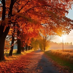 Picturesque natural autumn landscape with beautiful trees with, sunand road with red and orange foliage