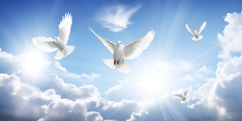 Light sky with white doves as a symbol of peace without war