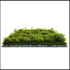 Green roof isolated on white background, detailed, png
