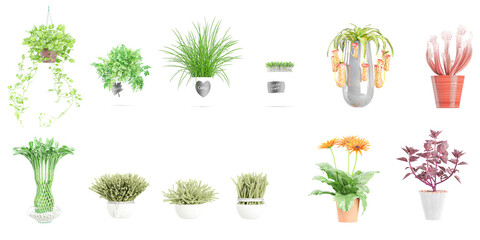 Different plants in pots,flowerpots or vases with houseplants