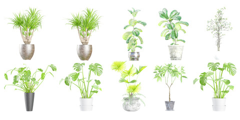 Fototapeta na wymiar Potted house plants set. Leaf houseplants growing in flowerpots, planters and vases