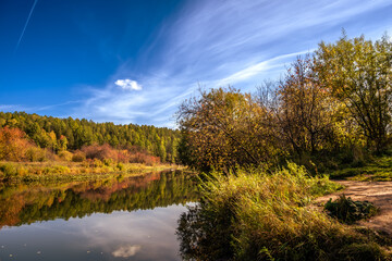 A rocky riverbank covered with forest on a summer day.