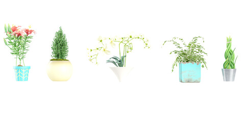 set of House Planter PNG & PSD Images