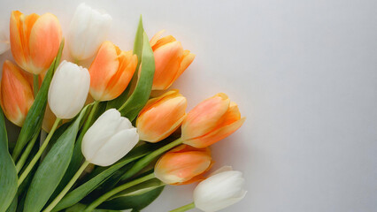 Springtime orange and white tulips on white background with copy space. Top view, for Mothers Day, banner for website