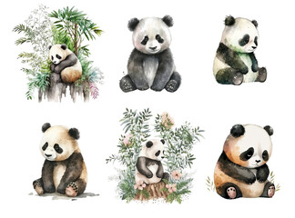 Obraz premium Cute panda. Watercolor clipart on a white white background.
