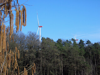Two wind turbines rise above the trees above the forest. Renewable green energy and nature...