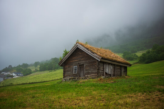 Living roof above a log cabin, pictured on a rainy afternoon
