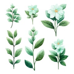 Mint several pattern flower, sketch, illust, abstract watercolor, flat design