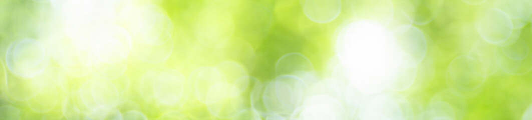 Abstract nature light of green leaf in garden using as background cover page