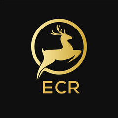 ECR Letter logo design template vector. ECR Business abstract connection vector logo. ECR icon circle logotype.
