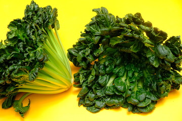 Sawi Pagoda. Tatsoi is an Asian variety of Brassica rapa grown for vegetables. Also called tat...