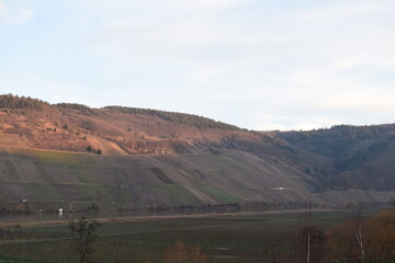 low sun on Mosel valley
