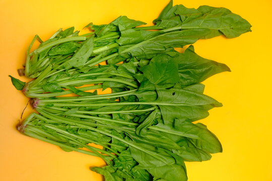 Japanese spinach or horenso is a leafy vegetable, from the genus Spinacia. In Indonesia it can be found in supermarkets and is sometimes known as spinach, Spinacia oleracea. 