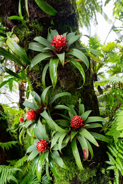 Singapur Gardens by the Bay 