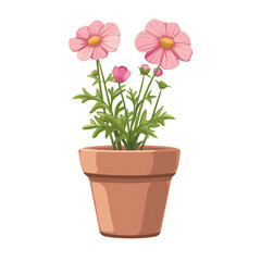 Naklejka na ściany i meble Illustration of cosmos flower in a pot isolated on transparent background