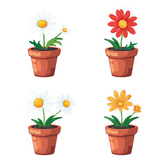 Cartoon illustration of daisy flowers in pots isolated on transparent background