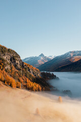 Goldener Herbst im Gebirge: Farbenspiel der Jahreszeiten - 722176374