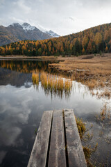 Naturmaler Herbst: Berglandschaft in lebendigen Herbsttönen - 722176759