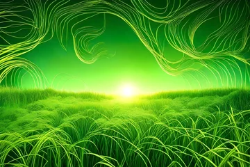 Rolgordijnen green grass and sun © Ahmad's 