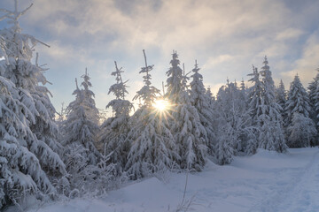 Fototapeta na wymiar Winter landscape at the mountain called Kahler Asten near the city Winterberg in the morning.