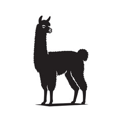 Whispering Wool: Alpaca Silhouette Set Depicting the Quiet Majesty of Alpacas in a Series of Engaging Shadows - Alpaca Illustration - Alpaca Vector - Animal Silhouette
