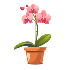 Naklejka na ściany i meble Orchid flower illustration in a pot isolated on transparent background
