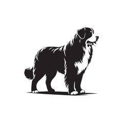 Majestic Canine Portraits: Bernese Mountain Dog Silhouette Series Capturing the Grace and Power of These Regal Companions - Bernese Mountain Dog Illustration - Bernese Mountain Dog Vector
