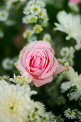 Pink roses as decoration for weddings or other events