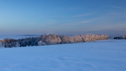 Winter sunset over the tops of frozen trees