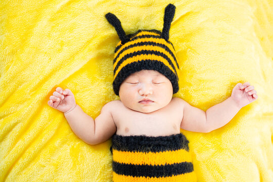 Baby in bee costume,baby boy in yellow bee costume,Asian Baby Girl dress in a bee costume,baby in bee costume,newborn baby in bee costume. newborn baby concept shot