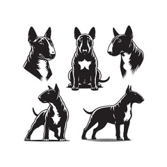 Vigilant Guardian: Bull Terrier Silhouette Series Portraying the Alert Posture and Watchful Stance of This Noble Breed - Bull Terrier Illustration - Bull Terrier Vector - Dog Silhouette
