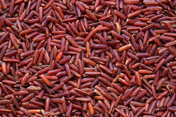 Macro black rice seeds,Close up background view of organic black purple rice.