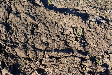 sample of dry brown soil isolated wallpaper